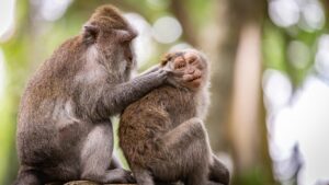 英会話を最短習得するための効果的な学習法は？