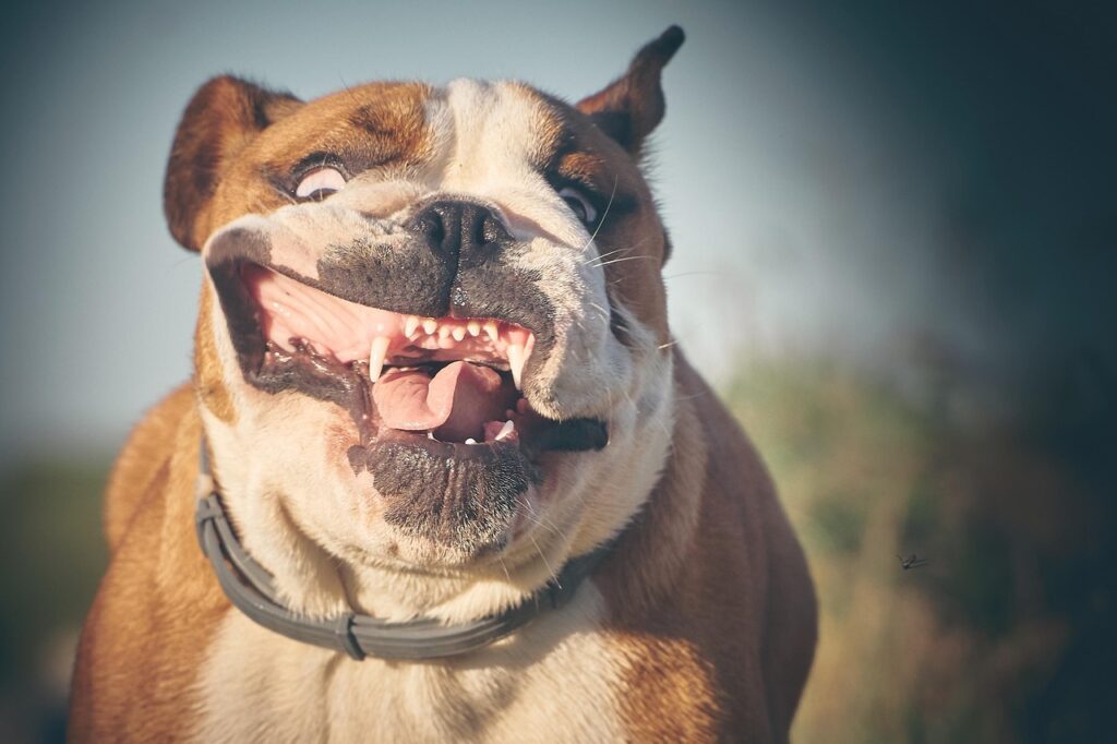 英語の会議で聞き取れない時の対策は？