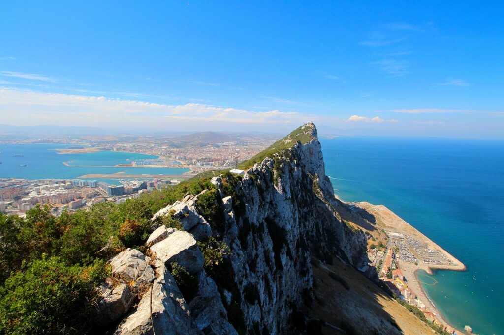 英語の職務経歴書の例文を知りたいのですが？