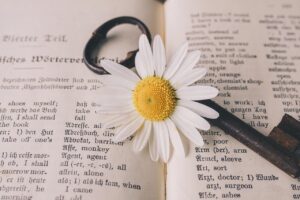 会社案内の英語翻訳で押さえておくべきポイントは？